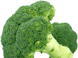 Broccoli antitumorali consumateli in abbondanza!