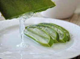 Benefici Aloe Vera