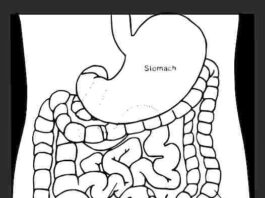 colon irritabile e brividi di freddo