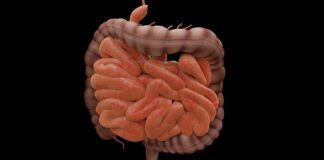 infezioni intestinali febbre