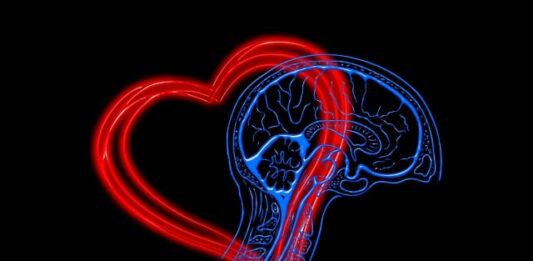 le quattro dimensioni dell'intelligenza emotiva