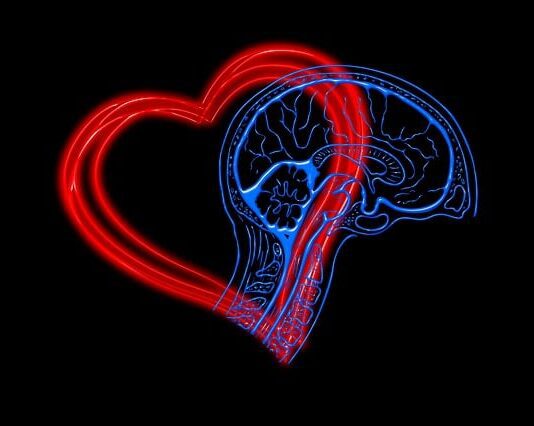 le quattro dimensioni dell'intelligenza emotiva